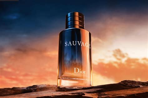 cologne that smells like sauvage|dior sauvage alternative reddit.